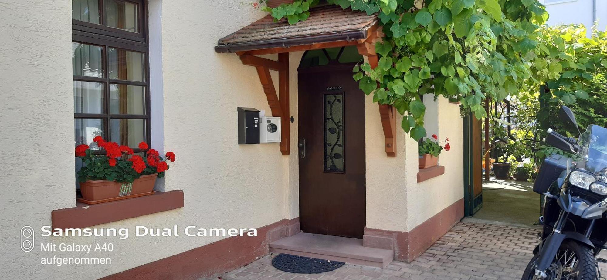 Gaestehaus Zu Herrenwiesen Heidelberg Buitenkant foto